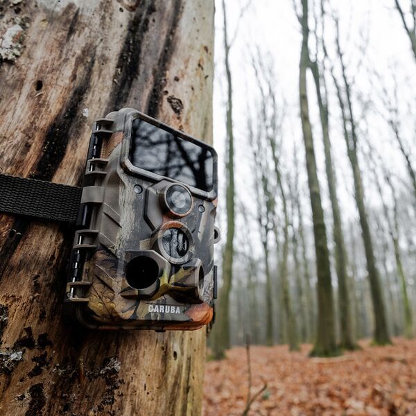 Caruba Wildlife Kamera Elch 4K 