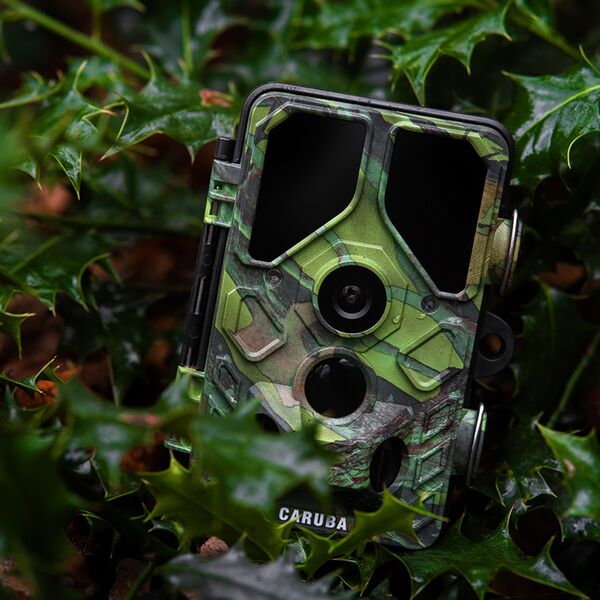 Caruba Wildlife Kamera Kröte Full HD 