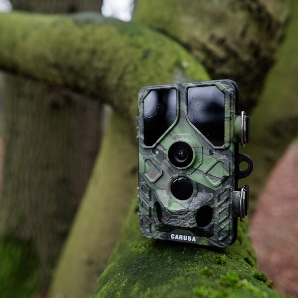 Caruba Wildlife Kamera Kröte Full HD 