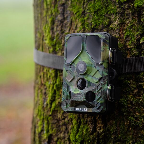 Caruba Wildlife Kamera Kröte Full HD 