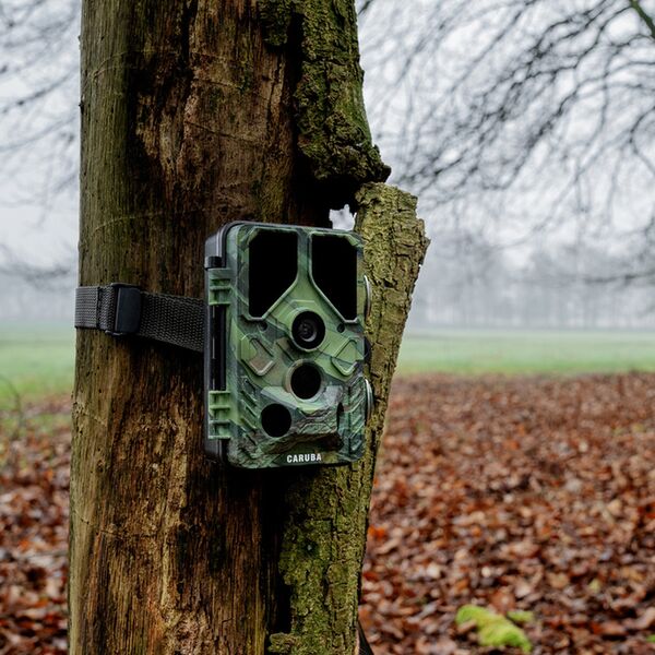 Caruba Wildlife Kamera Kröte Full HD 