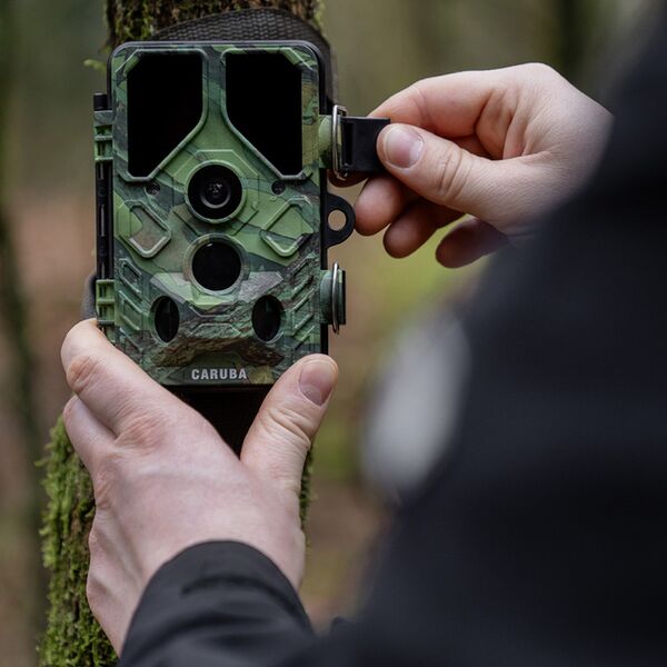 Caruba Wildlife Kamera Kröte Full HD 