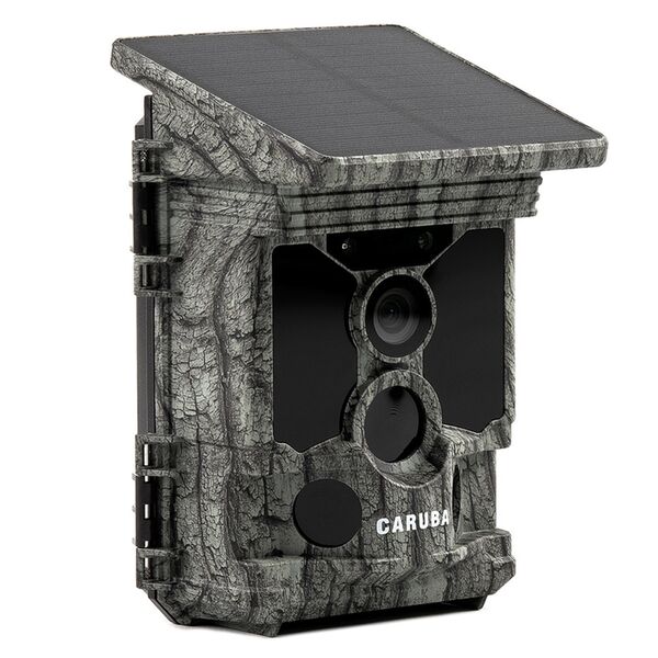 Caruba Wildlife Kamera Waschbär Solar 4K 