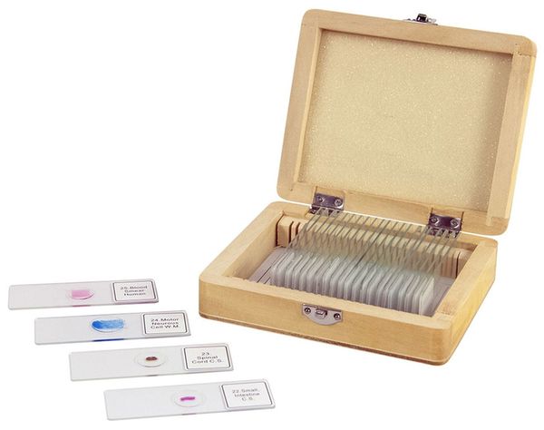 Celestron Objektträger mit 25 Fertigpräparaten 