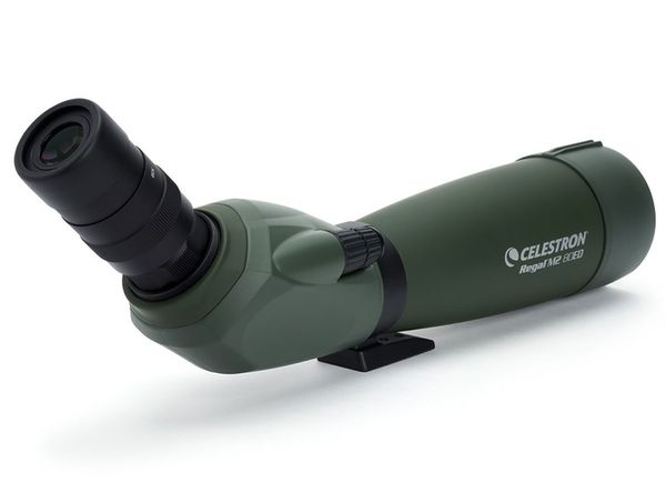 Celestron Spektiv Regal M2 20-60x80 