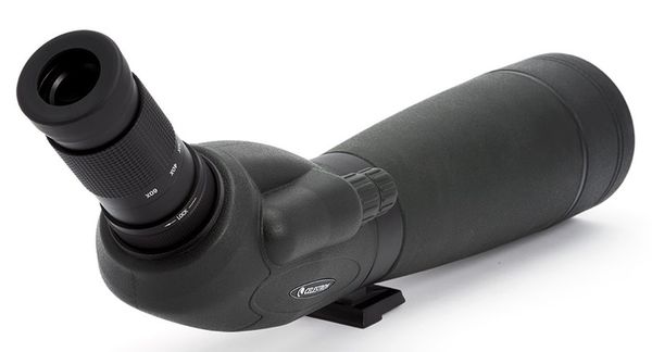 Celestron Trailseeker Spektiv 20-60x80, 45° Schrägeinblick 