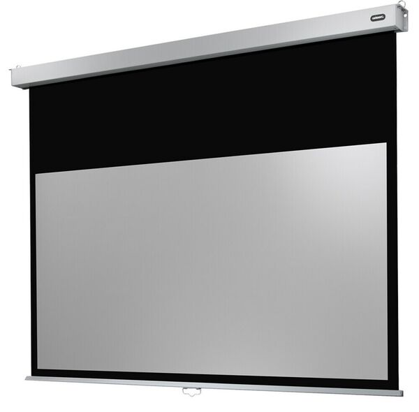 CELEXON Leinwand Rollo Professional Plus  240 x 135 cm