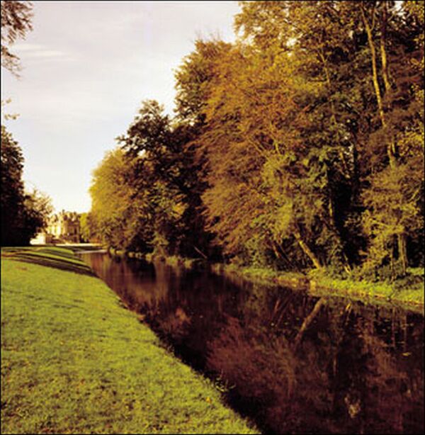 Cokin Filter A029 Orange (85A) 