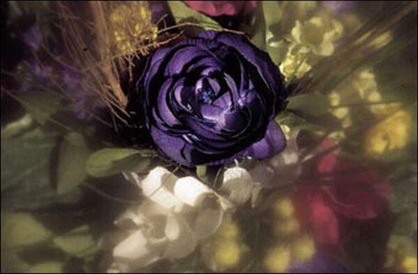 Cokin Filter A072 C.Spot WA Grau 1 