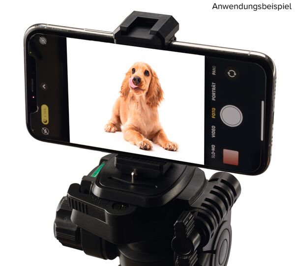 Cullmann CROSS CX142 