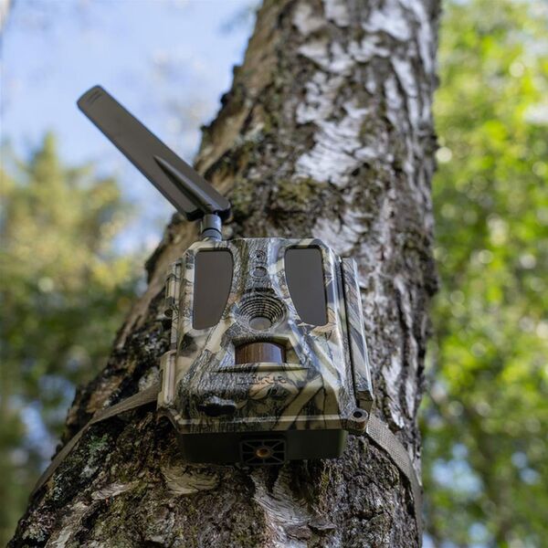 Dörr Überwachungskamera SnapShot Cloud Pro 4G WA 