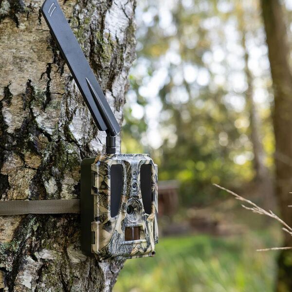 Dörr Überwachungskamera SnapShot Cloud Pro 4G WA 