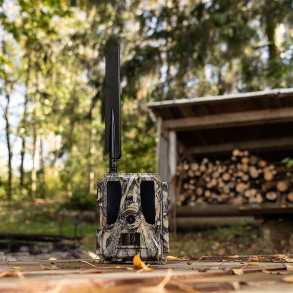 Dörr Überwachungskamera SnapShot Cloud Pro 4G 