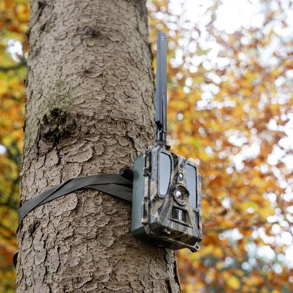 Dörr Überwachungskamera SnapShot Cloud Pro 4G 