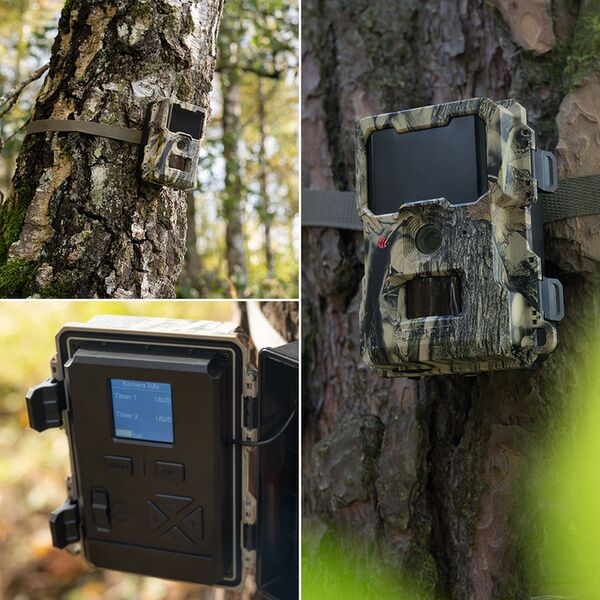 Dörr Wild- & Überwachungskamera SnapShot Mini 5.0 Pro 