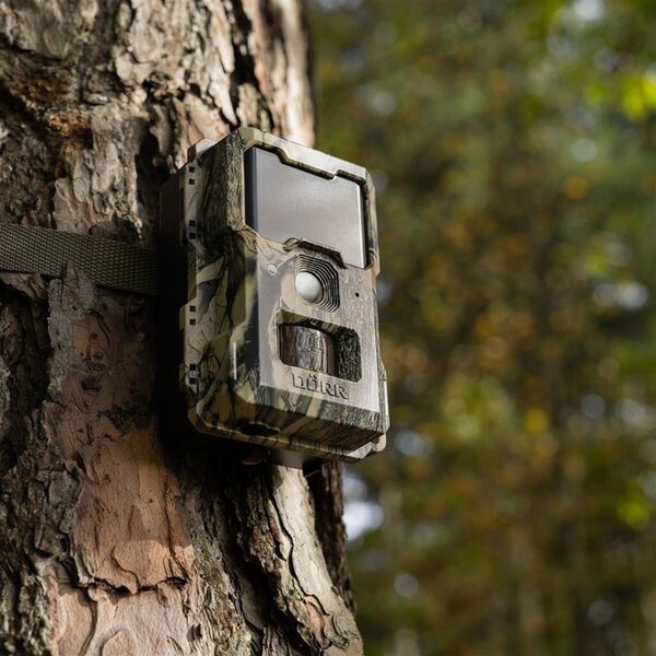 Dörr Wild- & Überwachungskamera SnapShot Mini 5.0 Pro 