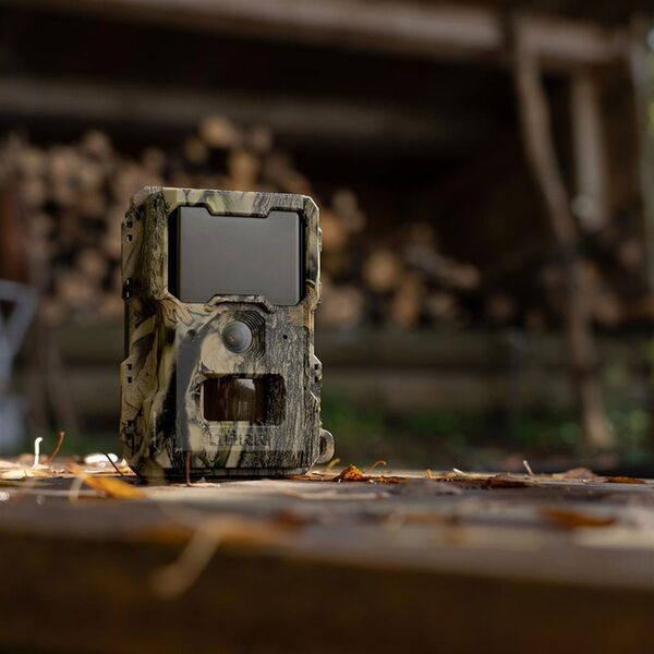 Dörr Wild- & Überwachungskamera SnapShot Mini 5.0 Pro 