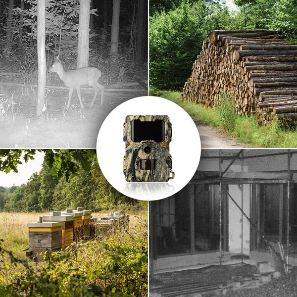 Dörr Wild- & Überwachungskamera SnapShot Mini 5.0 Pro 