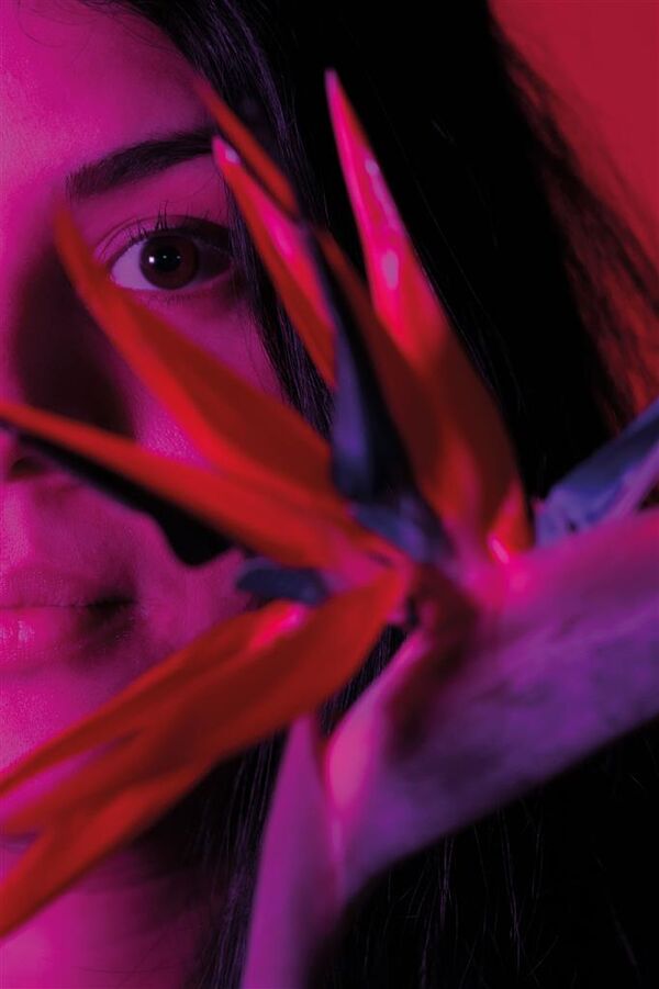 Dörr LED Dauerlicht DLP-1000 RGB  Einzeln