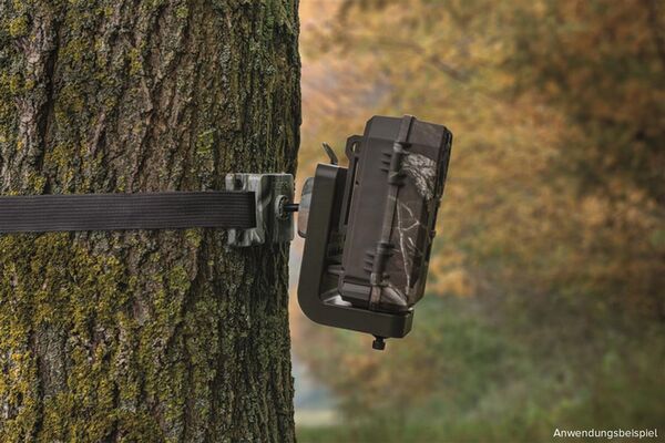 Dörr Universal Befestigungsgurt BG-150 schwarz 