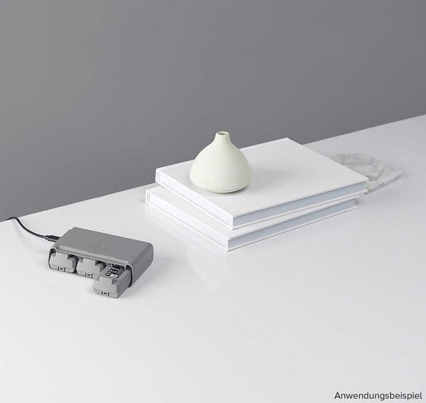 DJI mini 2 Zweiwege-Ladestation 