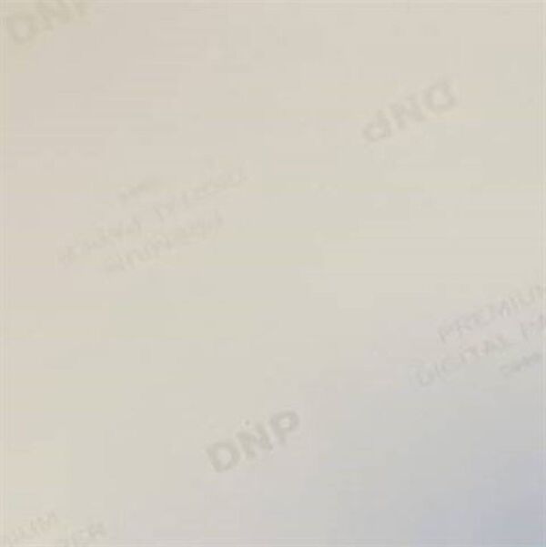 DNP Standard Papier DS-RX1HS  4X6HS 2 Rollen à 700 St. 10x15