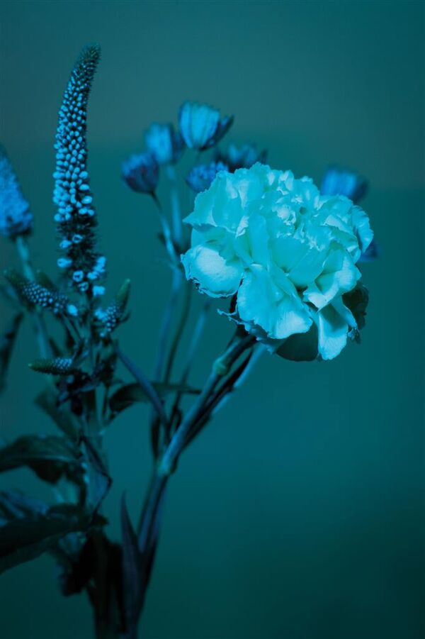 Dörr LED Dauerlicht DLP-1000 RGB  2er Set