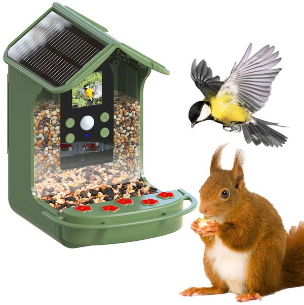 Easypix BirdyCam Vogelfutterhaus mit Kamera 