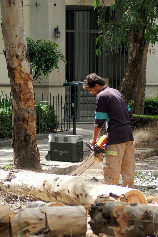 Ecoflow Delta Pro EU 