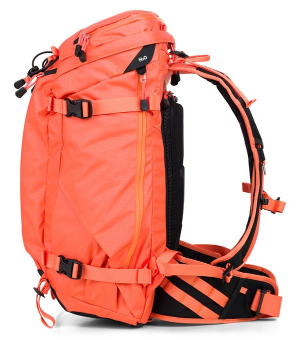 F-stop Lotus  Nasturtium orange