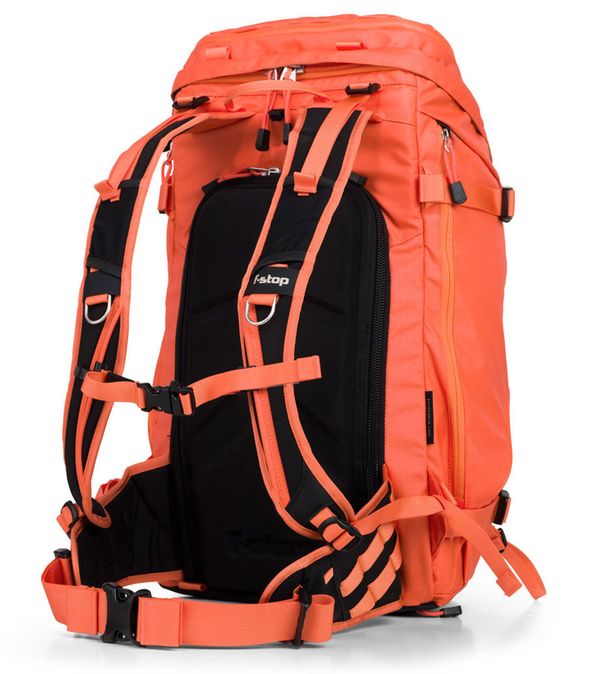 F-stop Lotus  Nasturtium orange