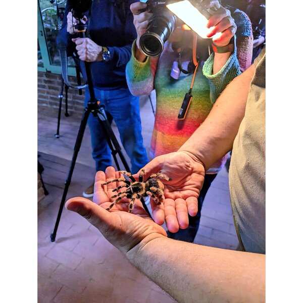 FKA Fotoshooting im Terra ZOO  21.02.2026