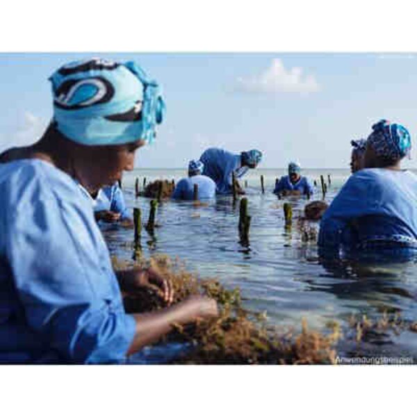 Fujifilm GFX 100RF Retoure  silber