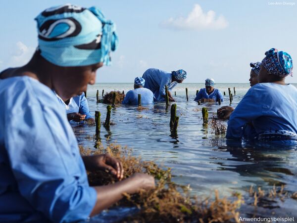 Fujifilm GFX 100RF  silber