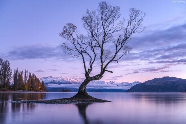 Fujifilm X-E5  schwarz