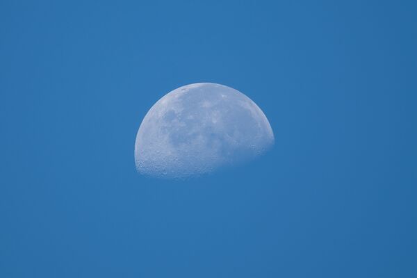 Fujifilm XF 500mm f/5.6 R LM OIS WR  Fujifilm X