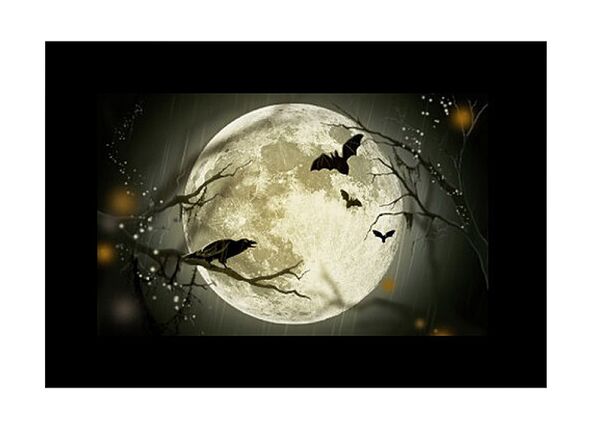 Godox Diaset für AK-R21  AK-S02 10 Stück