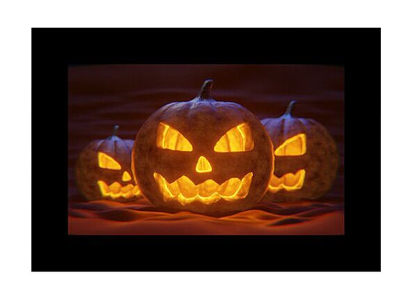 Godox Diaset für AK-R21  AK-S02 10 Stück