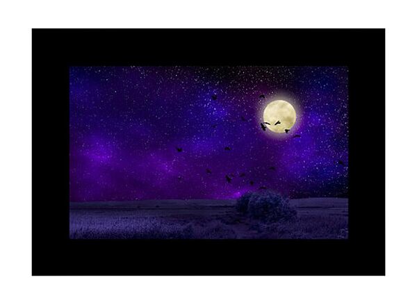 Godox Diaset für AK-R21  AK-S02 10 Stück