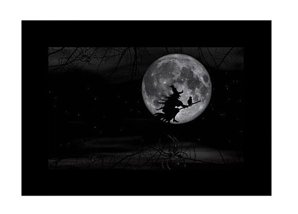 Godox Diaset für AK-R21  AK-S02 10 Stück