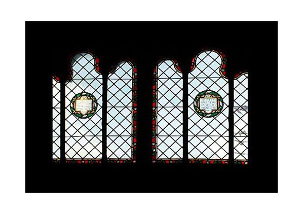 Godox Diaset für AK-R21  AK-S04 10 Stück