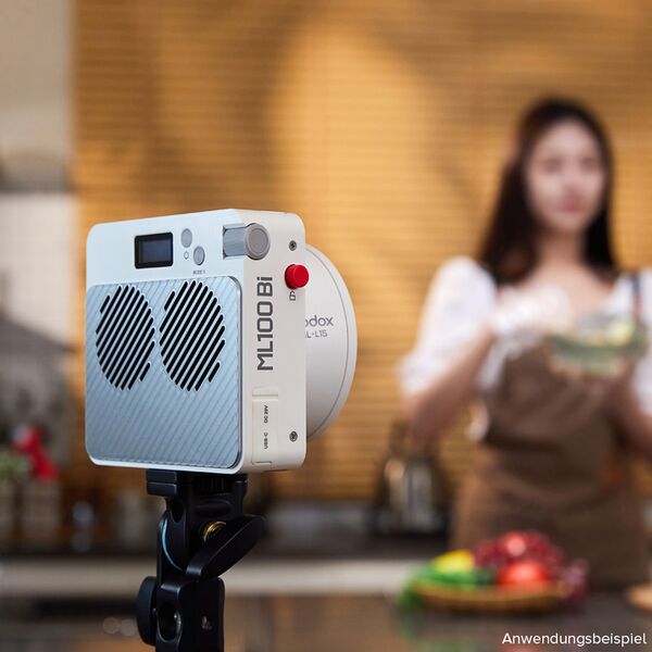 Godox ML 100Bi-Color LED Video light Kit 