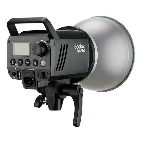 Godox MS300 
