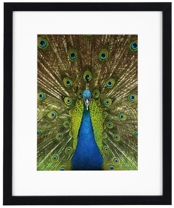 goldbuch Bilderrahmen Pino  20 x 25 cm schwarz