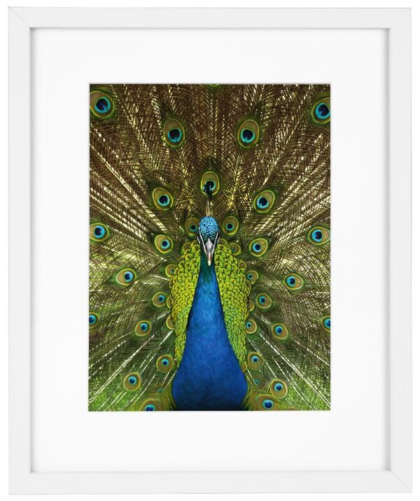 goldbuch Bilderrahmen Pino  20 x 25 cm weiß