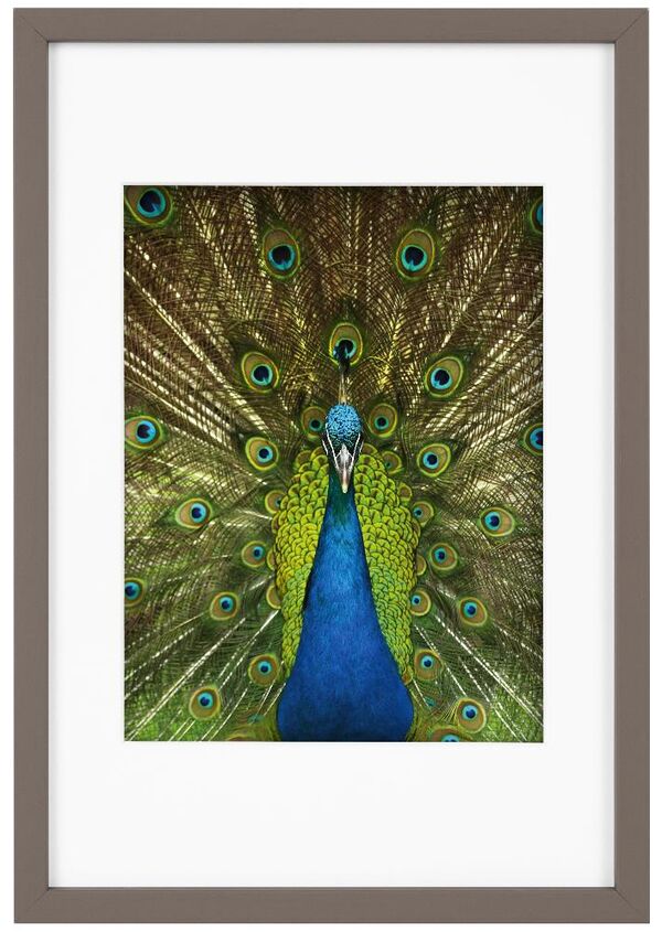 goldbuch Bilderrahmen Pino  20 x 30 cm taupe