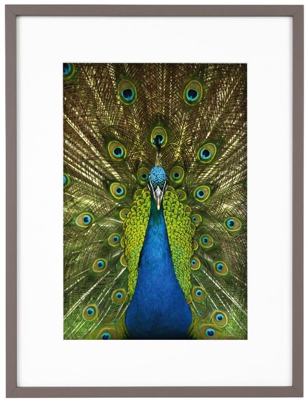 goldbuch Bilderrahmen Pino  30 x 40 cm taupe