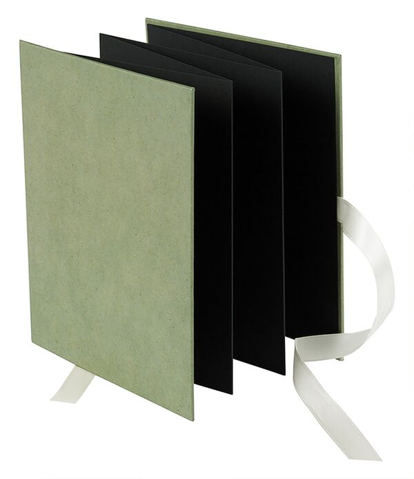 goldbuch Leporello Bella Vista Trend 15,5x19 für 10 Fotos  Smoke Green