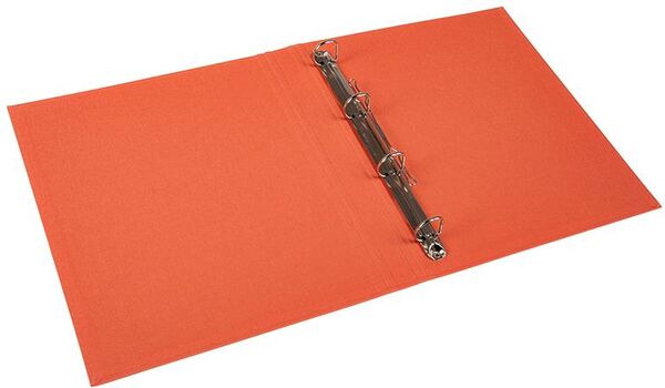 goldbuch Ringbuch A4 Bella Vista  lachs