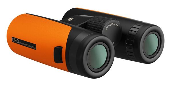 GPO Passion ED 8x42  orange